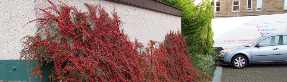 Sinclair Residents Association